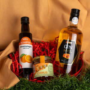 Lote Gin con Miel y Cítricos Somper