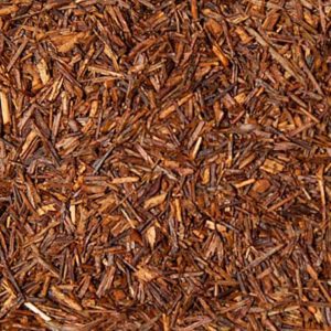 Rooibos