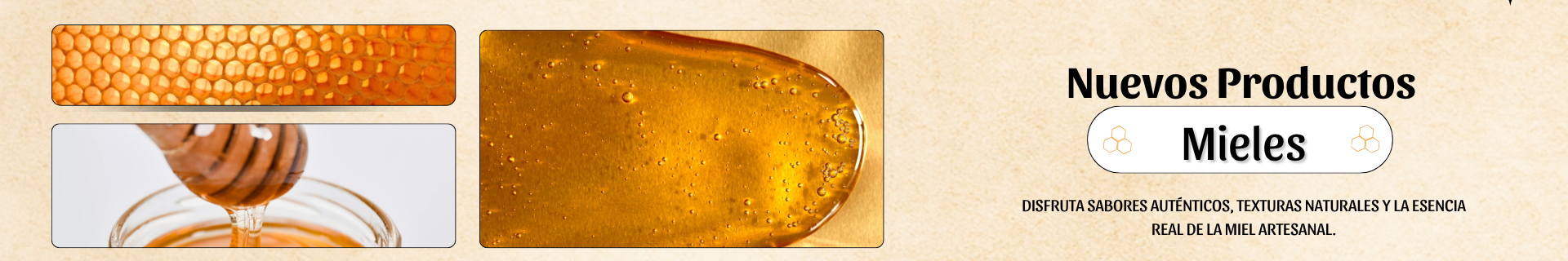 Miel Somper - Cabecera tienda