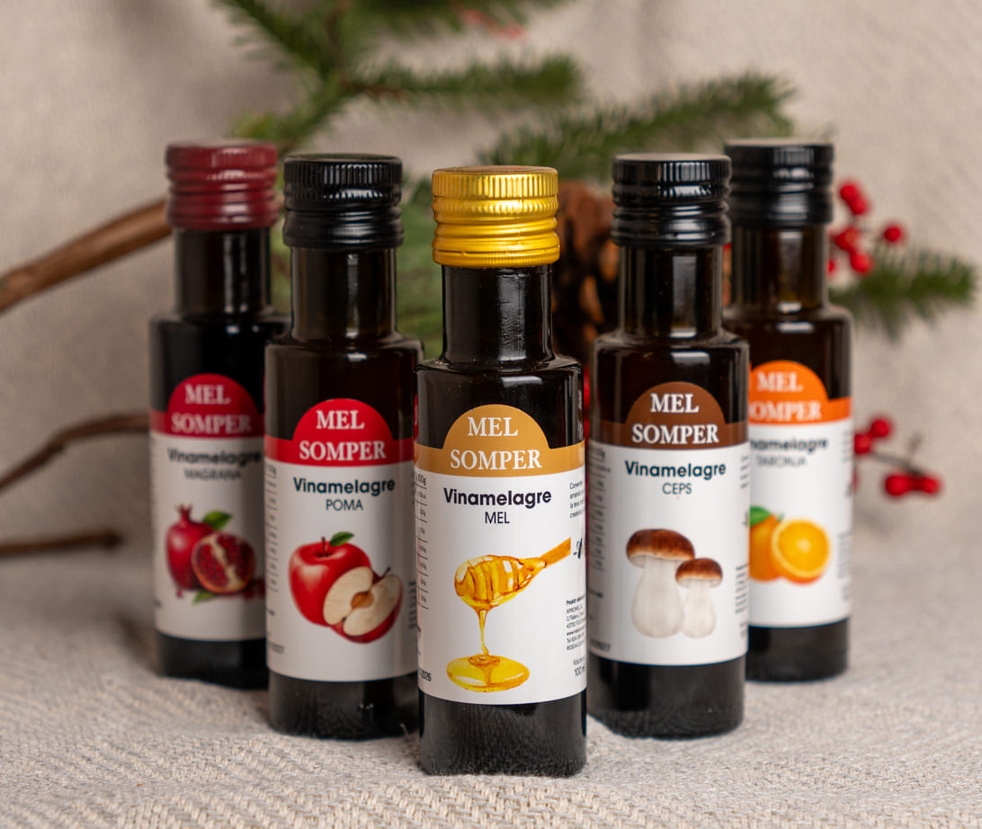 Lote Vinamelagres Gourmet con Miel Somper